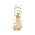 thumbnail image 2 of BLISSFUL STEP Women's Shoes Open Toe Lace Up Block Heel Strappy Heels Gold 6, 2 of 8