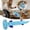 Blue, variant on Plush Reptile Dog Toy with Corn , Squeaky Chew Toy for Dogs with Canvas Back, Durable Soft Dog Toy for Medium and Small Dogs, Interactive Pet Toy for Indoor Play and Comfort