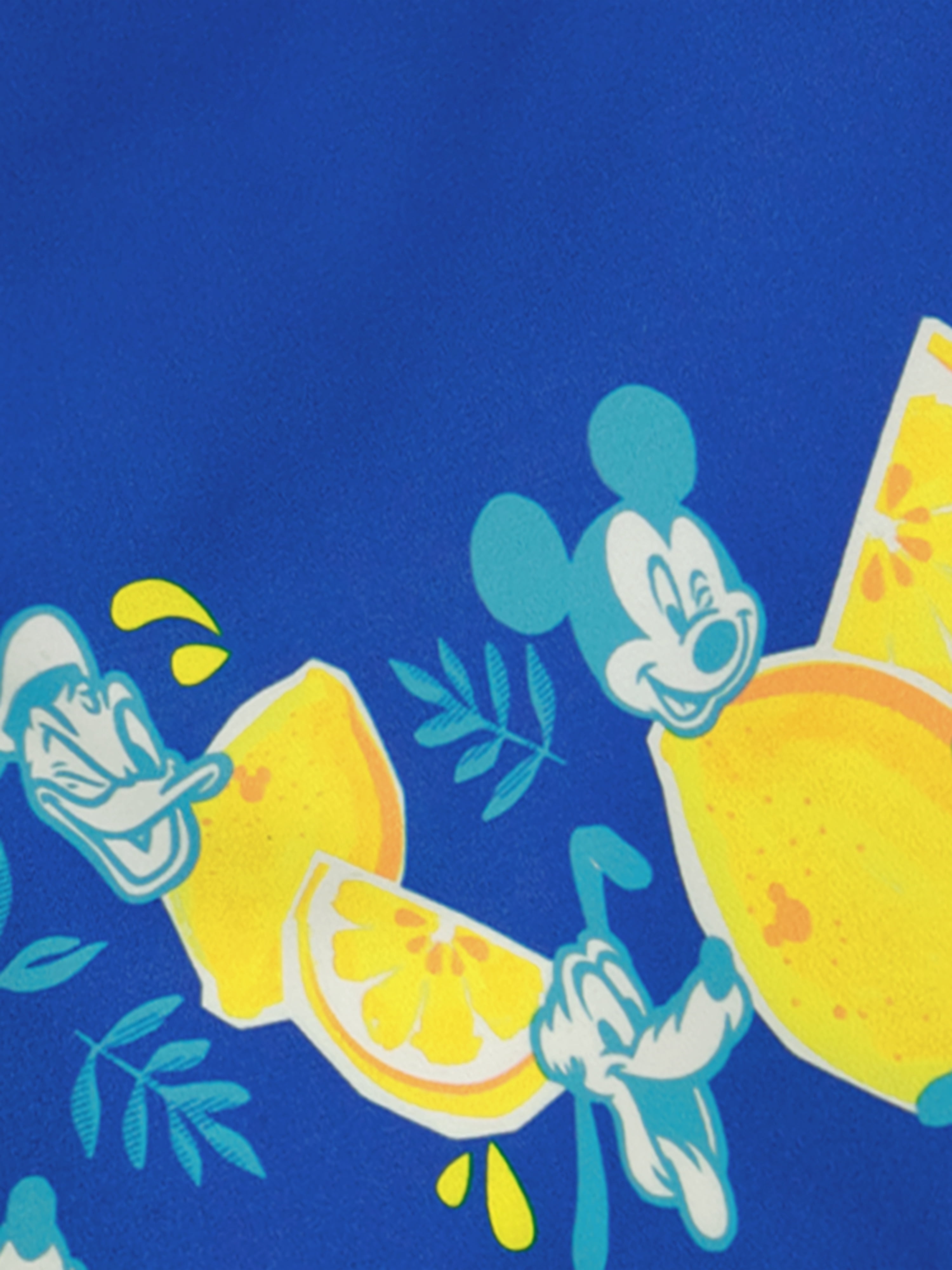 Character Toddler Boy Swim Trunks, Sizes 12M- 5T