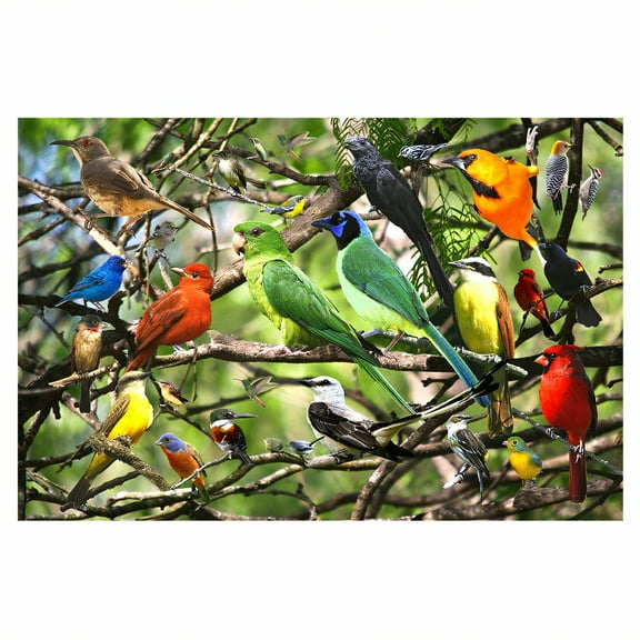 BESTSKY 500 Piece Puzzles for Adults,Thick Puzzle Board Adult Puzzles,Color Matching Activity 500 Piece Puzzle,style1,18*11in