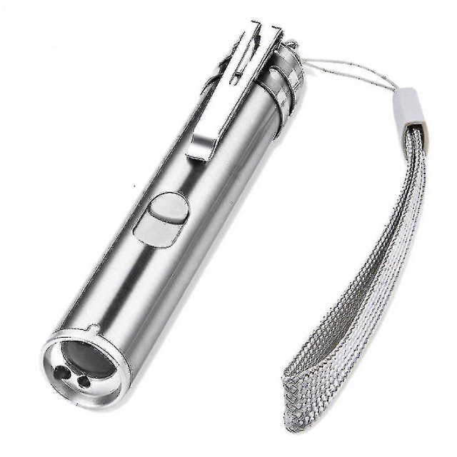 Usb Rechargeable Pet Toys Cat Training Laser Pointer With Led Flashlight