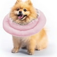 Thin And Lightweight Ring Cat Dog Pet Collar Recovery Neck Cover Anti thin-and-lightweight-ring-cat-dog-pet-collar-recovery-neck-cover-anti