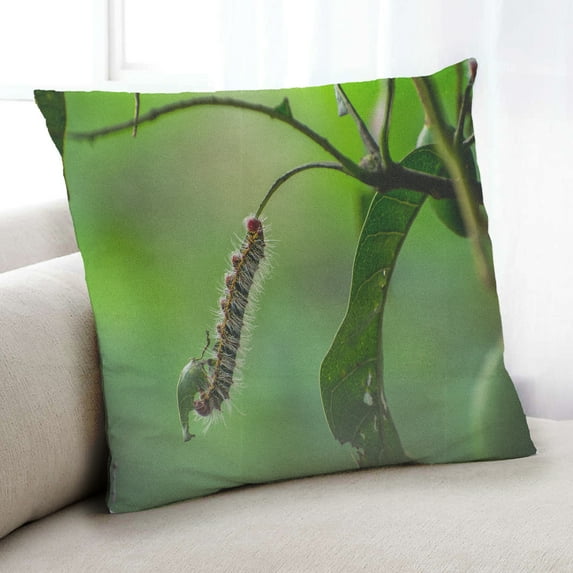 Ahgly Company Insects worm Indoor Throw Pillow, 18 inch by 18 inch