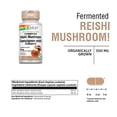 thumbnail image 2 of Solaray Reishi Mushroom 600 mg (100 Caps), 2 of 5