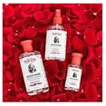 thumbnail image 6 of Thayers Alcohol-Free Witch Hazel w/ Organic Aloe Vera Lavender 12oz, 4-Pack, 6 of 7