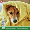 thumbnail image 7 of X-O Odor Neutralizer ( Ready-To-Use ), 7 of 7