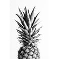 thumbnail image 2 of 1x Studio III 11x14 White Modern Wood Framed Museum Art Print Titled - Pineapple Black A White 01, 2 of 4