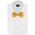 thumbnail image 3 of LAICAIW Nœud Papillon Formel Classique Pré-Noué pour Hommes, Nœud Papillon Ajustable, 3 of 4