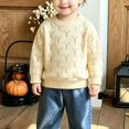 thumbnail image 5 of Ruyang Boys Girls Knit Sweater Loose Long Sleeve Pullover Breathable Casual Basic Tops Kids Crew Neck Fall Warm Outfits, 5 of 7