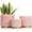 Pink, variant on Gepege Ceramic Indoor Pots for Plants, Rainbow Pearl Glaze Planter with Drainage Hole, 6.0 inch+5.0 Inch+4.0 Inch. Orchid Flower Pots