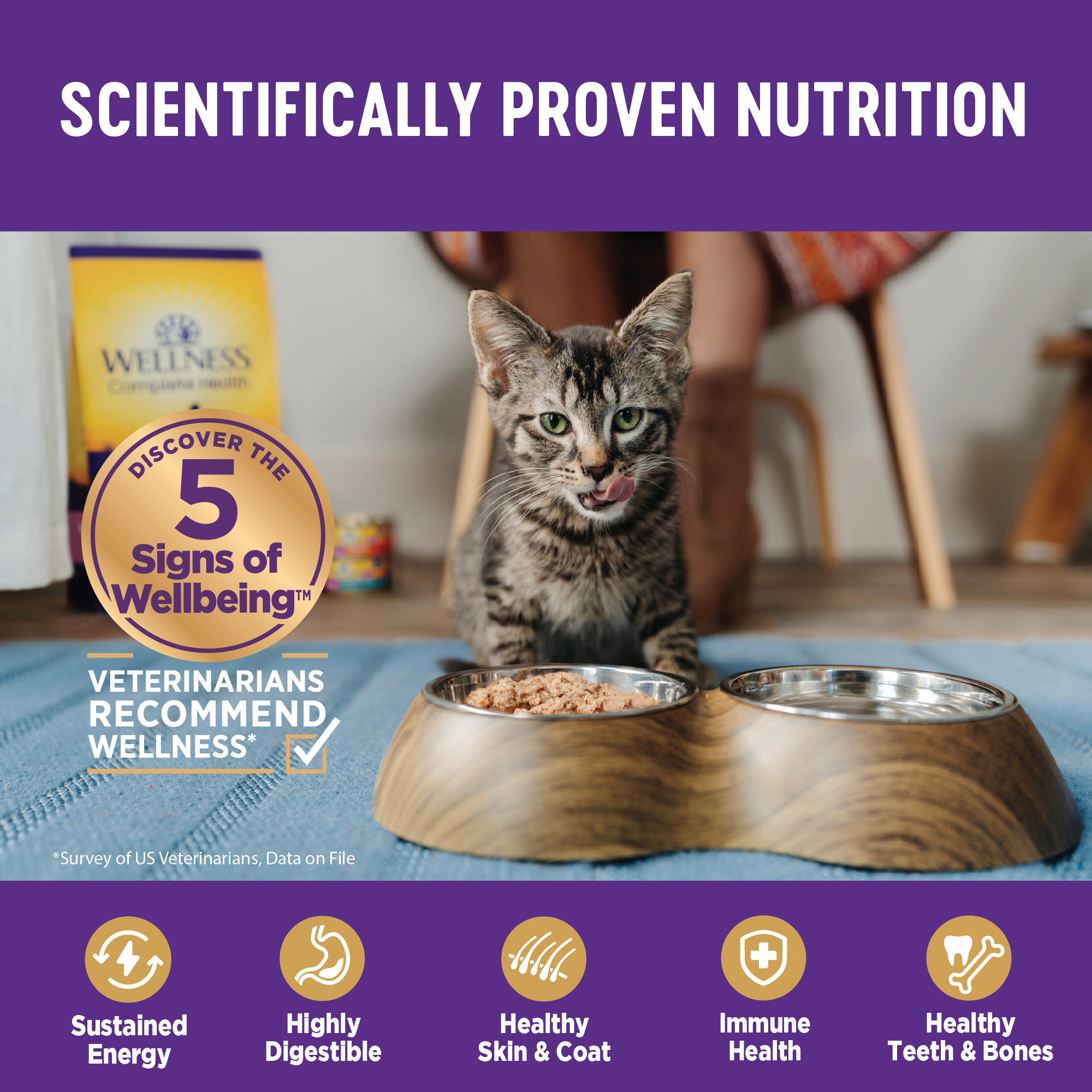 Wellness Complete Health Wet Canned Cat Food, Minced Turkey Entree, 5.5oz Can (Pack of 24) - image 5 of 9