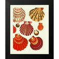 thumbnail image 2 of Fab Funky 20x24 Black Modern Framed Museum Art Print Titled - Red and Cream Clam Shells, 2 of 5