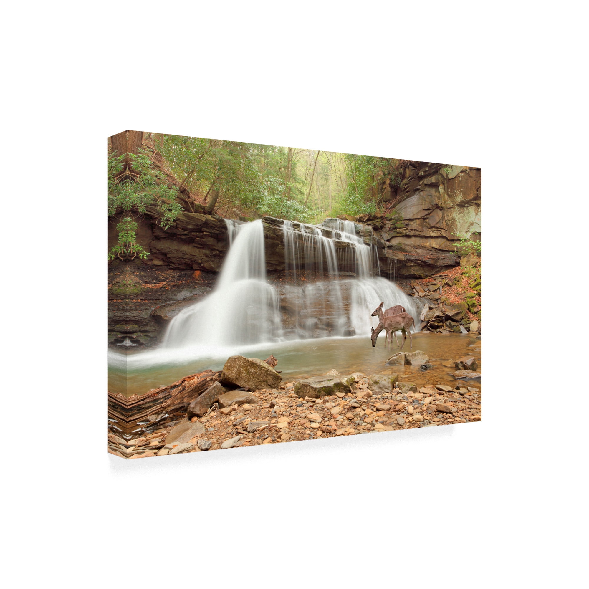 Trademark Fine Art 'Two Deer At Holly River Falls West Virginia' Canvas Art by Monte Nagler