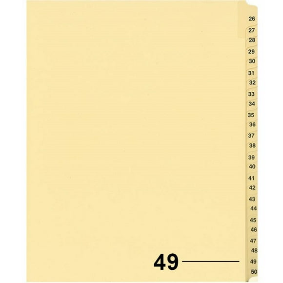 Davisgroup B1125-49 Diviseur d'Indice Numérique de Litige Individuel 49 - 1 Chaque