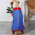 thumbnail image 5 of Dog Sterilization Surgery Recovery Clothes Dog Recovery Clothes Pet Surgery Clothes (Blue S Back Length 28-35CM Suitable for Weight 9-16 Pounds), 5 of 5
