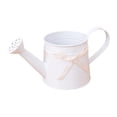 thumbnail image 2 of Watering Can with Bow Gardening Tools Accessories,1 Gallon Metal Plant Watering Can Garden Watering Can For Indoor And Outdoor Plants Lawn Garden, 2 of 5