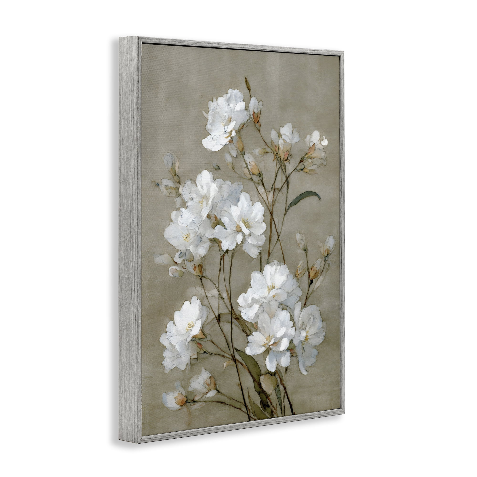 Stupell Industries Aged White Botanical Study Gray Framed Giclee Art, design by Petal Prints Design