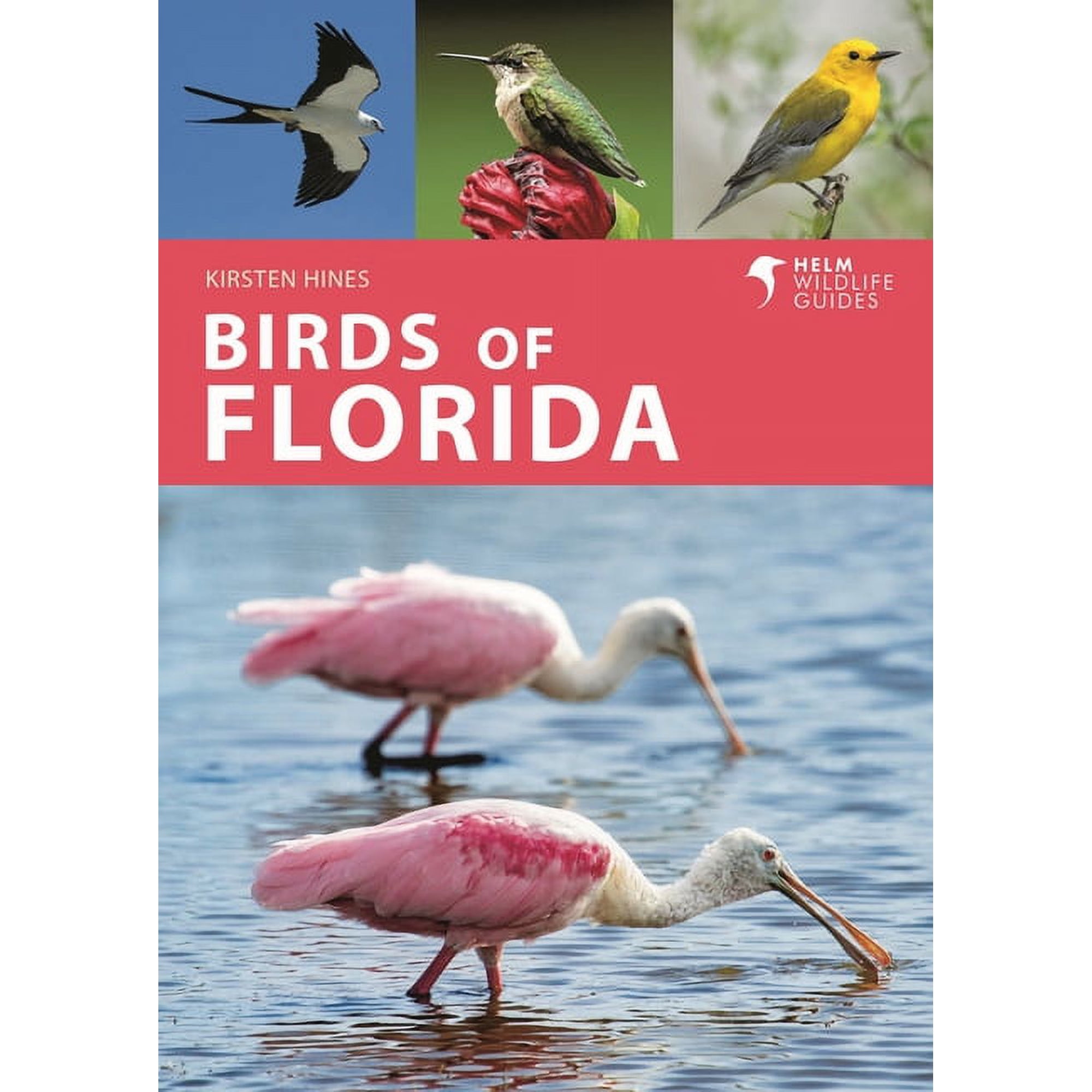 Helm Wildlife Guides: Birds of Florida (Paperback)