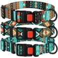 thumbnail image 1 of CollarDirect Plastic & Nylon Fashion Dog Collar for Large Dogs, Ethnic Pattern, 1 of 7