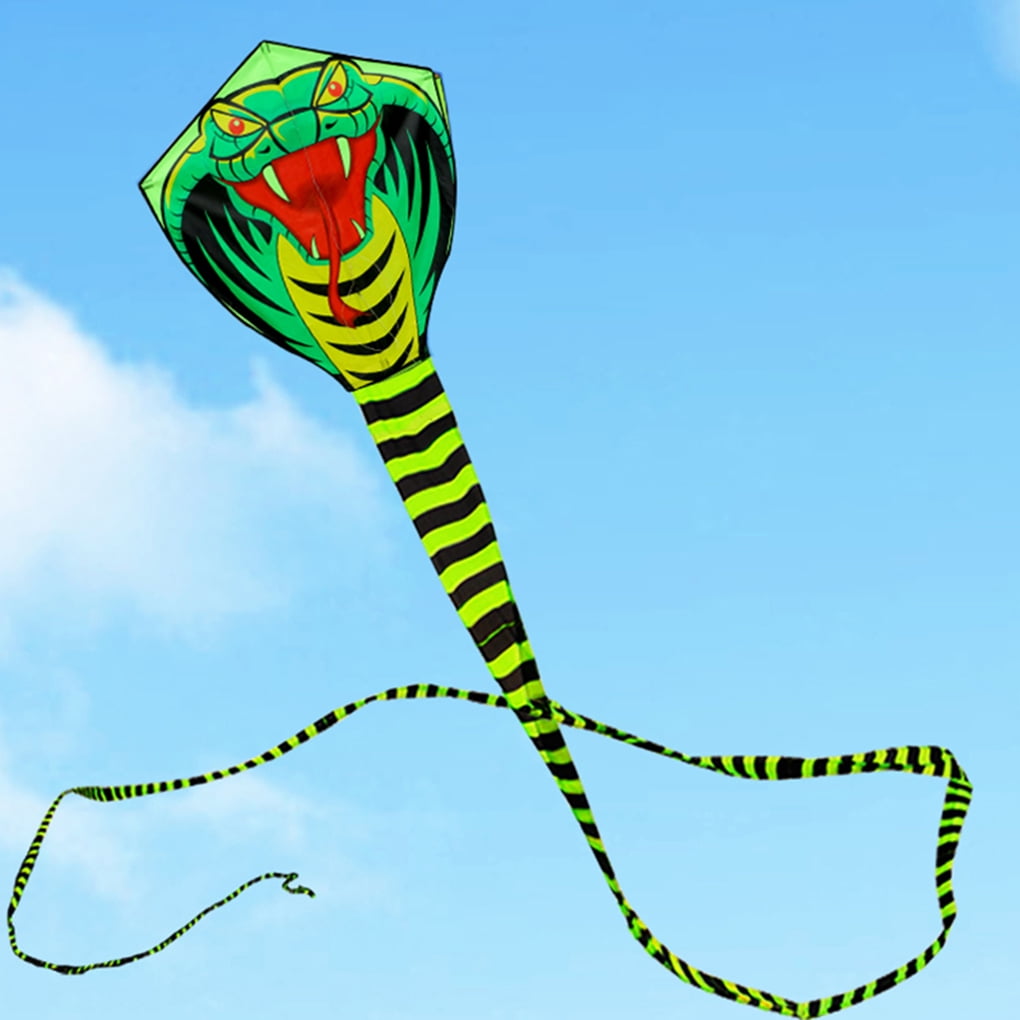 Details about   8m Green Long Snake Kites New High Quality Outdoor Fun Sports kite easy to fly 