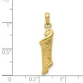 thumbnail image 2 of 14k Yellow Gold Solid Textured Polished Torah with Religious Judaica Star of David Pendant Necklace 21x7mm Pendant for W, 2 of 2
