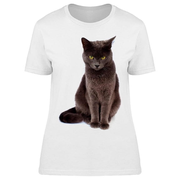 Serious Dark Gray Cat T-Shirt Women -Image by Shutterstock, Female XX-Large