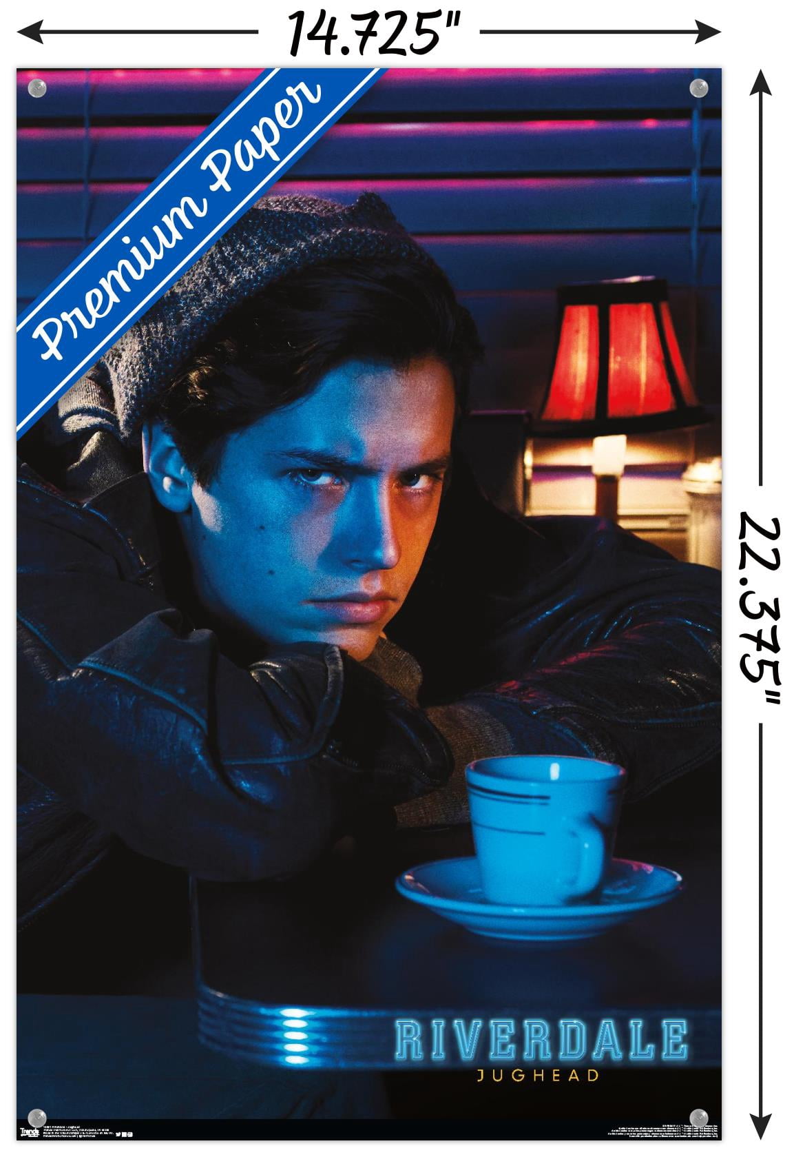Riverdale - Jughead Wall Poster with Push Pins, 14.725" x 22.375"