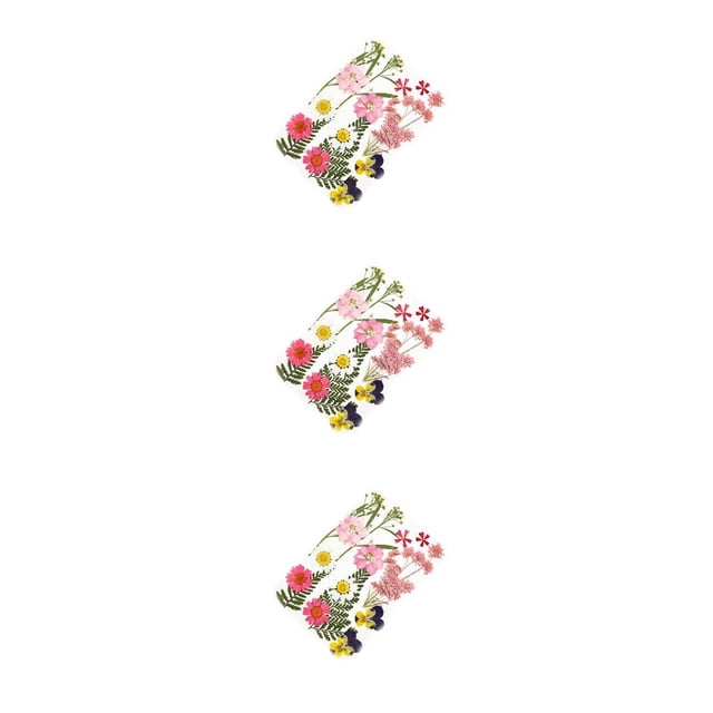 Calcomanía de flores secas Wosthever para decoración artesanal