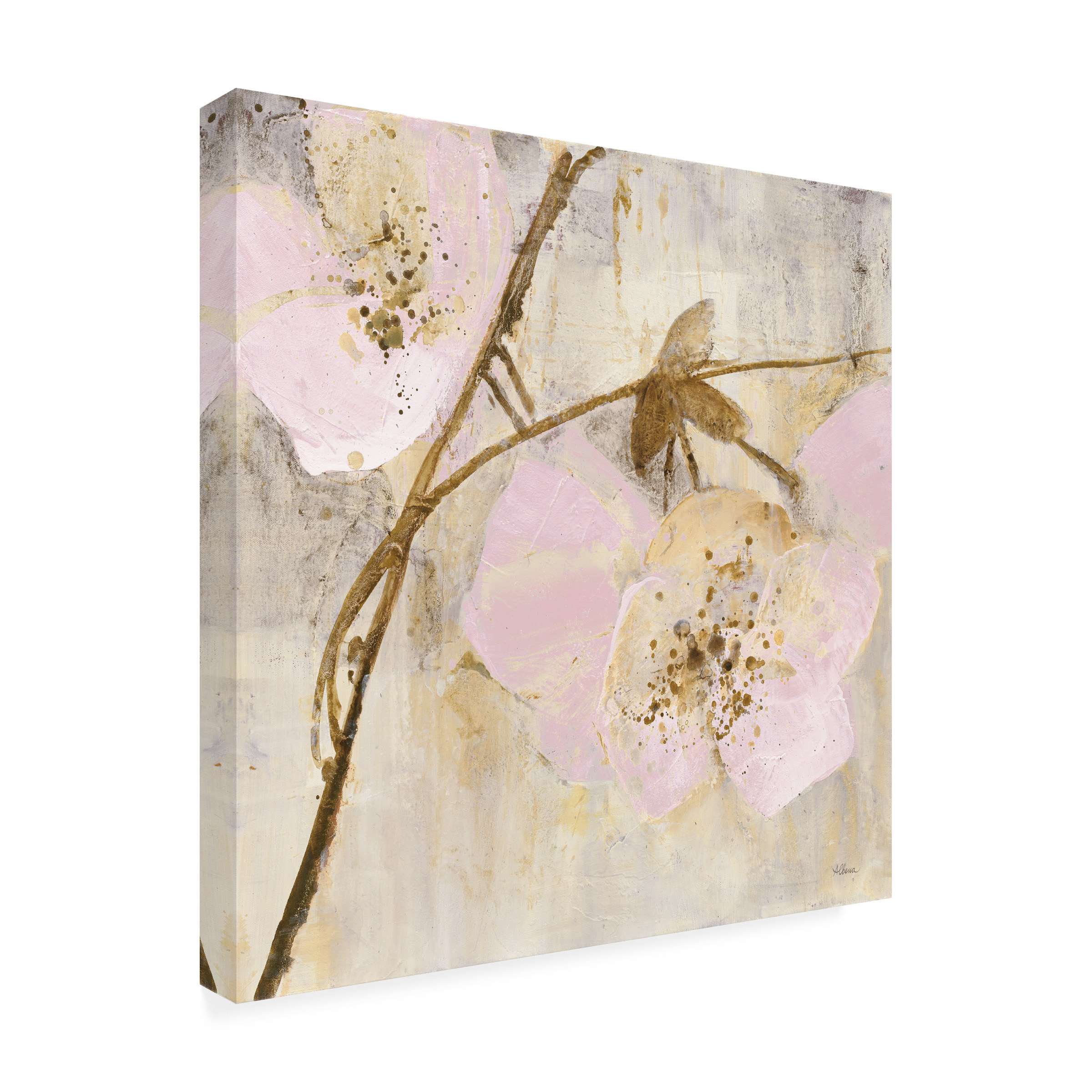 Trademark Fine Art 'Elegance II Pink' Canvas Art by Albena Hristova