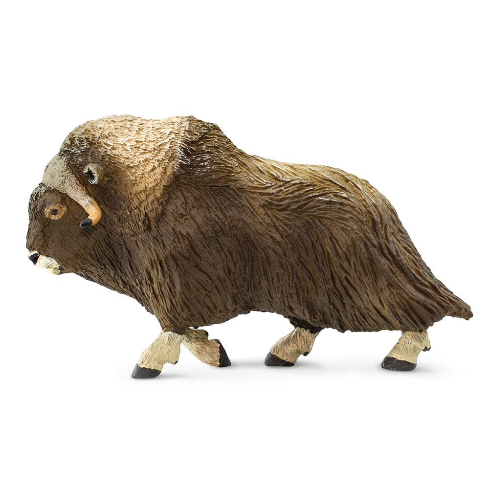 Wild Safari North American Wildlife Muskox Safari Ltd Animal Toy Figure