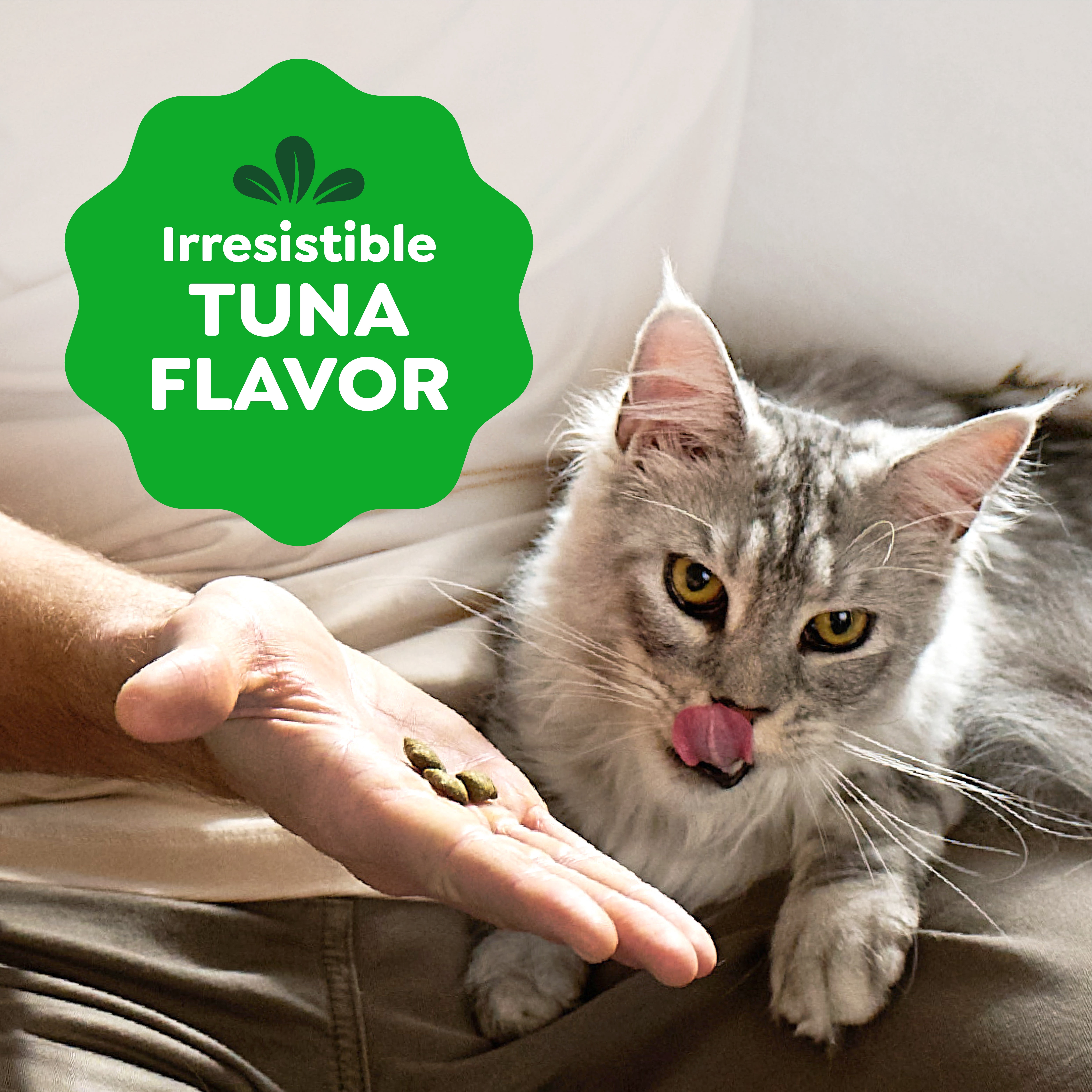(12 pack) Greenies Feline Smartbites Tuna Flavor Healthy Indoor Cat Treats, 2.1 oz Pack