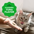 thumbnail image 5 of Greenies Feline Smartbites Tuna Flavor Healthy Indoor Cat Treats, 2.1 oz Pack, 5 of 10