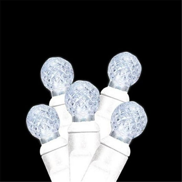 Reinders 34643r-b Premium Grade G12 70 LED Pure White Holiday Lights String with White Wire