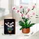 thumbnail image 3 of Juego de bloques de construcción Bilinott Flower Orchid 729 piezas con luz LED, 3 of 7