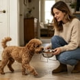 thumbnail image 6 of Elevated Stainless Steel Dog Bowl with Stand, Raised Pet Food and Water Bowl, Non- Feeder for Small to Medium Dogs, 6 of 6