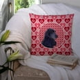 thumbnail image 3 of Carolines Treasures SS4471PW1414 Black Cocker Spaniel Hearts Love Valentines Day Fabric Decorative Pillow 14Hx14W, 3 of 4