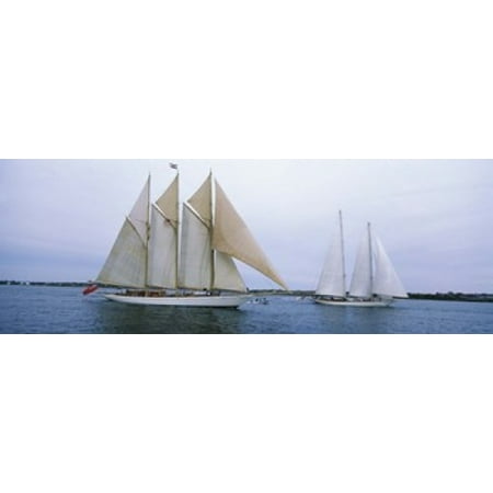 Narragansett Bay Rhode Island - Sailboats in the sea Narragansett Bay Newport Newport County Rhode Island USA Poster Print
