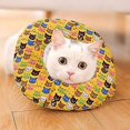 thumbnail image 2 of Collar de cuello de cono de recuperación ajustable suave Elizabeth Circle funda lavable extraíble para perros gatos (amarillo, X-pequeño), 2 of 5