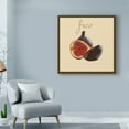 thumbnail image 3 of Trademark Fine Art 'Italian Fruit VI' Canvas Art by Vision Studio, 3 of 4