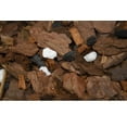 thumbnail image 5 of Organic Orchid Potting Mix by Perfect Plants - 1 Quart, 5 of 5