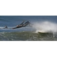 thumbnail image 1 of Morro Bay Surfer - CANVAS OR FINE PRINT WALL ART, 1 of 1