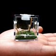 thumbnail image 4 of 1PC Breeding Box - Portable Acrylic Reptile Enclosure - Breeding Container with Metal Ventilation Hole - for Spider  Lizard  Scorpion  Centipede  Horned Frog, 4 of 6