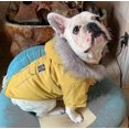 thumbnail image 2 of Black Barsinfi Gatos, Perros Y Cachorros Chaquetas De Plumón Sudaderas Con Capucha Chaquetas Ropa Para Mascotas Perros Pequeños Ropa Abrigada De Invierno, 2 of 4