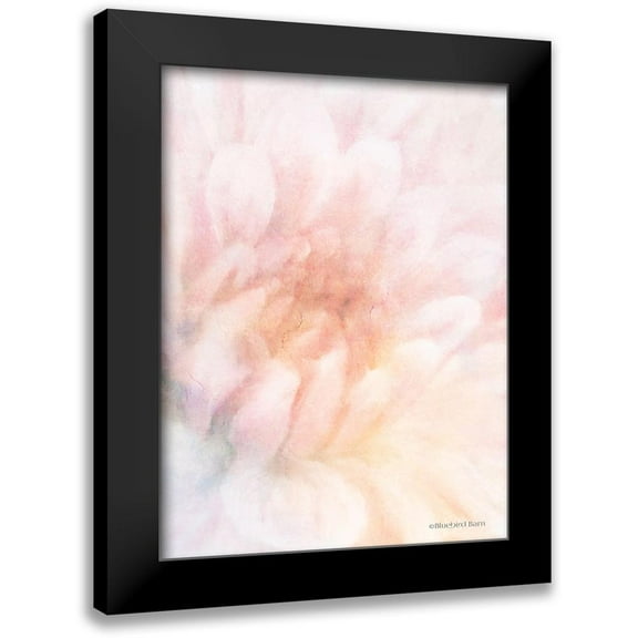 Bluebird Barn 12x14 Black Modern Framed Museum Art Print Titled - Soft Dahlia Pastel Peach