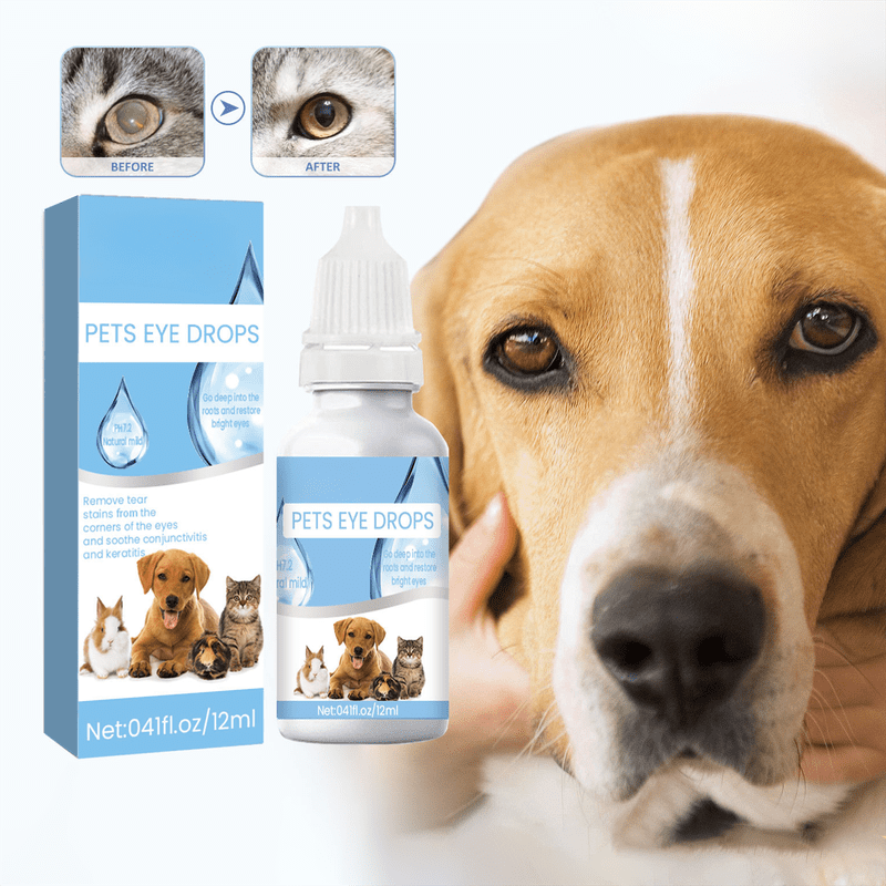 Eye wash for dogs walmart hot sale