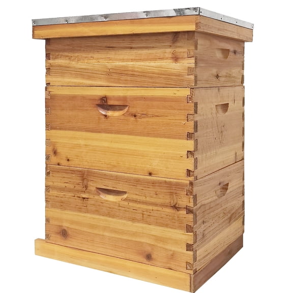 RJFKSNC 10-Frame Langstroth Beehive Kit, 3-Layer Beeswax Coated Bee Hive with 2 Deep and 1 Medium Boxes, Professional Beekeeping Starter Set