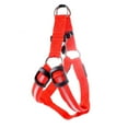 thumbnail image 1 of Billuyoard Arnés LED para perro mascota, cinturón brillante de nailon, Collar para el pecho, correa para decoración de ropa segura nocturna Suministros para perros rojo SG, 1 of 6