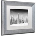 thumbnail image 2 of Trademark Fine Art "White World" Canvas Art by Philippe Sainte-Laudy, White Matte, Silver Frame, 2 of 4