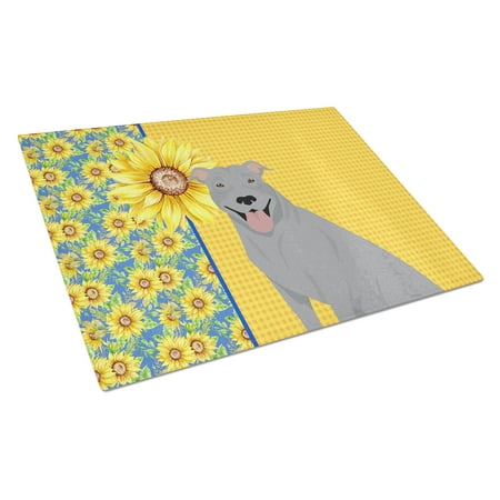 

Summer Sunflowers Blue Pit Bull Terrier Glass Cutting Board Large 12 in x 15 in