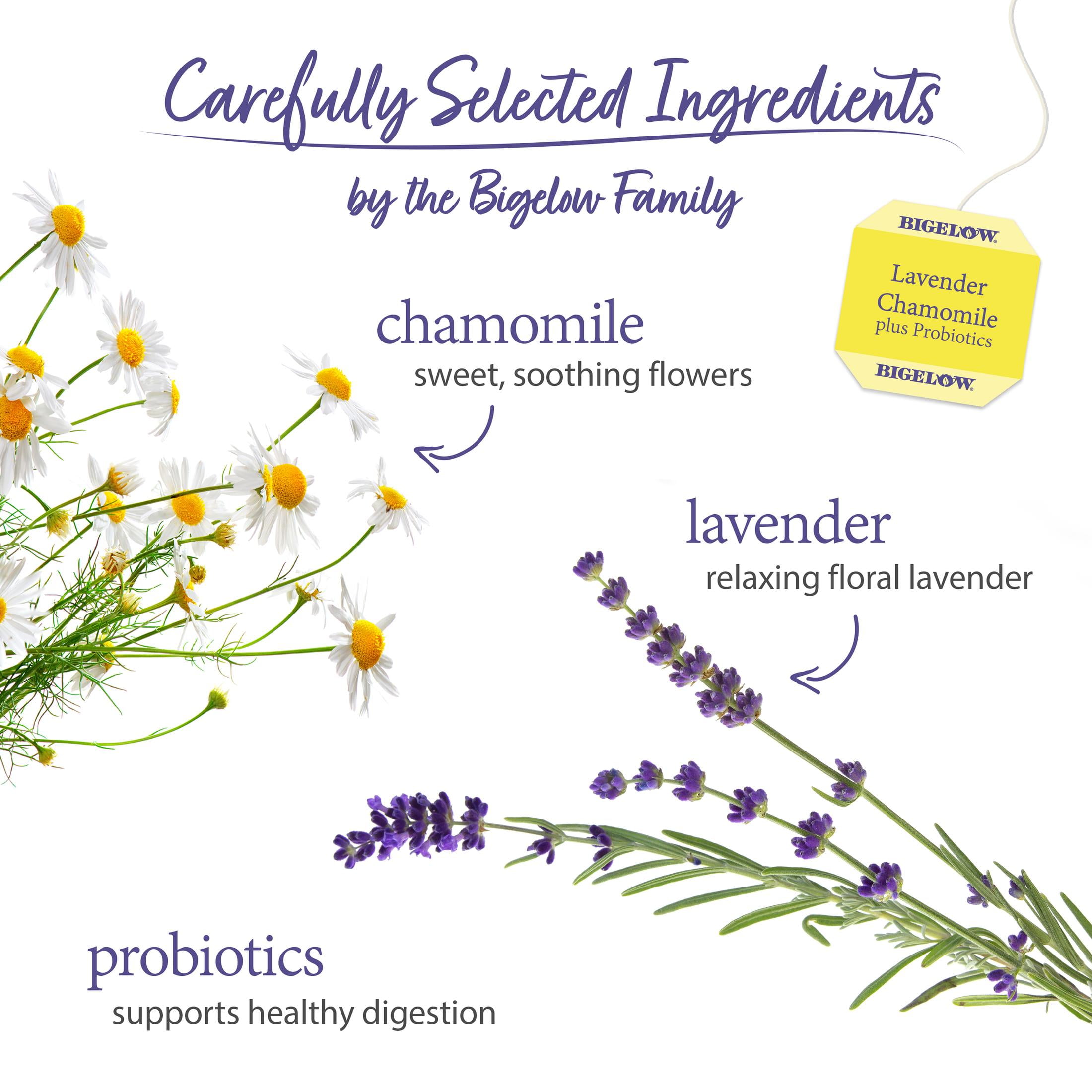 Bigelow Lavender Chamomile Plus Probiotics, Caffeine Free, Herbal Tea Bags, 18 Count (Pack of 4)